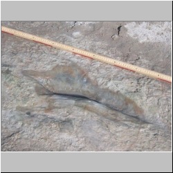 102_6161 (2013-08-07)mod.JPG